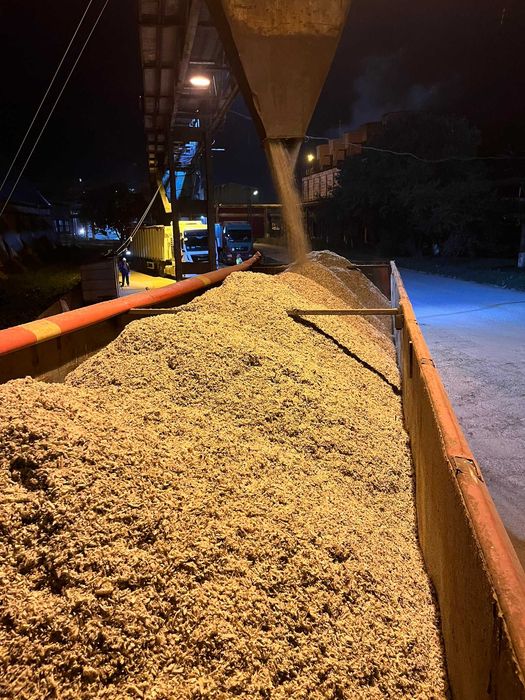 Borhot de sfecla 2025 !