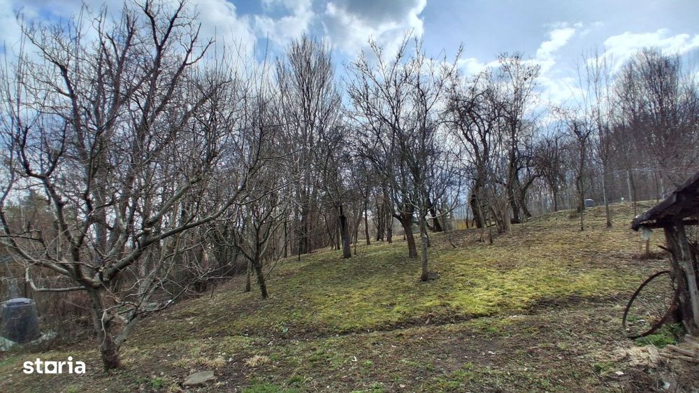 Casa cu teren generos de vanzare in Poiana Campina