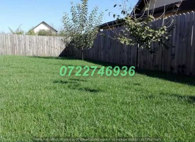 Gazon Verde Premium pentru Curți Perfect Amenajate