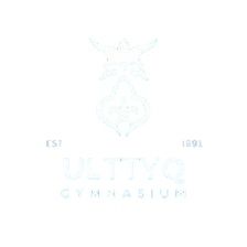 Детская двухярусная кровать