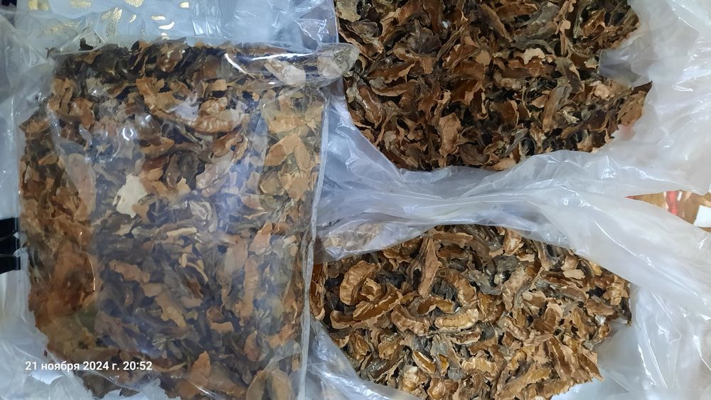 Перегородки грецкого ореха