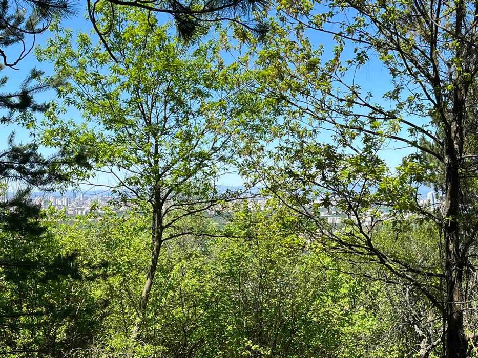 Парцел село Герман, м-т Терасите