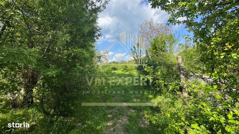 Teren Intravilan 2943 Mp Campulung
