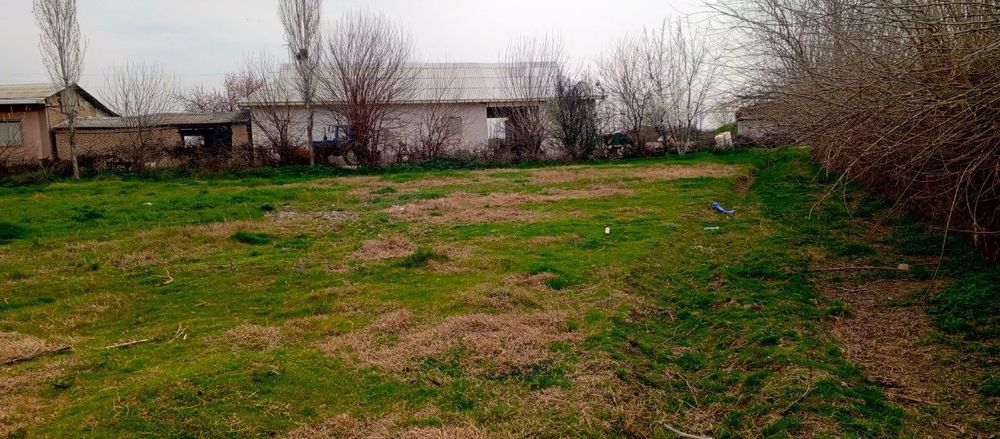 Бўш ер учасика сотилади