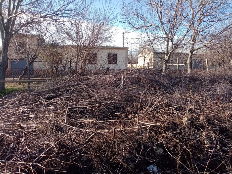 O'tin tekinga / Дрова бесплатно