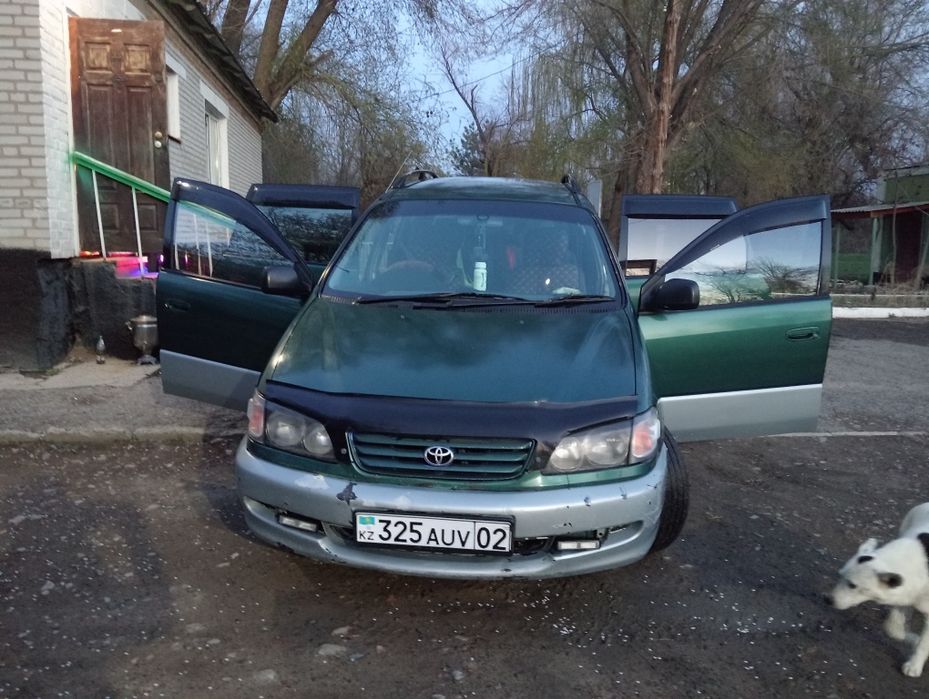 Tayota ipsum, варианты обмена