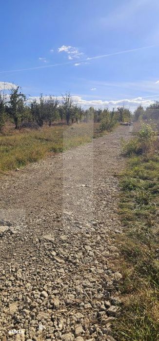 Teren intravilan, 512 mp, zona Evergreen