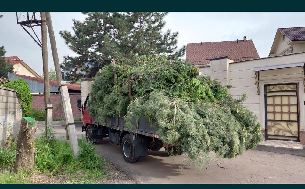 Вывоз мусора 24/7