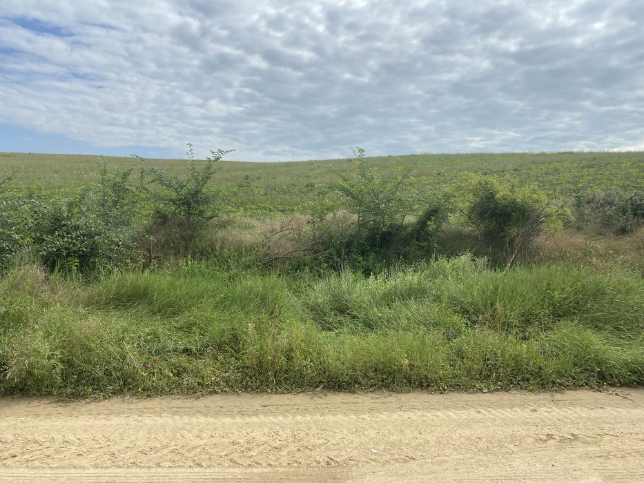 Продава се Земеделски имот в с. Старо Оряхово, Област Варна -  кв.м за 3549 €/дка - Снимка #8