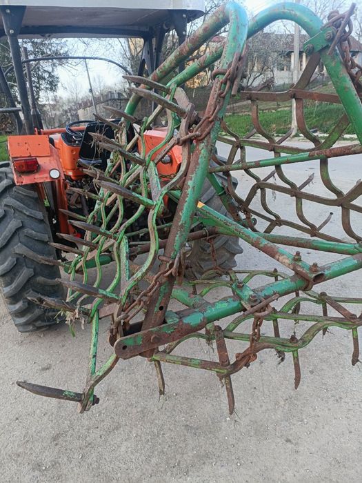 Grape cu colți în stare bună