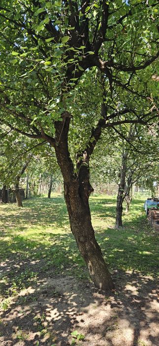 Casă de vănzare in Reghin