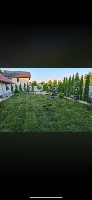 Gazon natural de calitate superioară – soluție rapidă pentru o grădină modernă