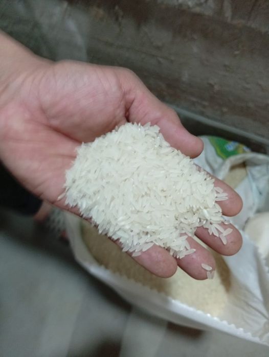 Ласер куриш оптом