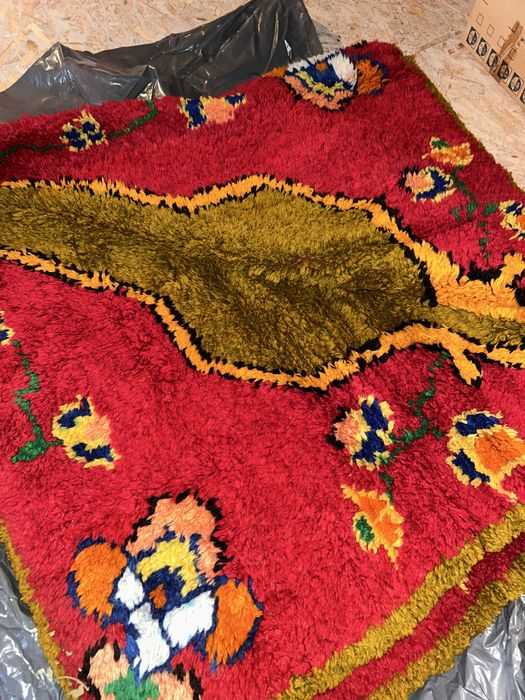 Вълнен китеник