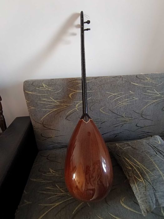 Професионален електро саз баглама