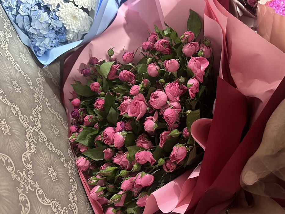 продаю цветы срочно