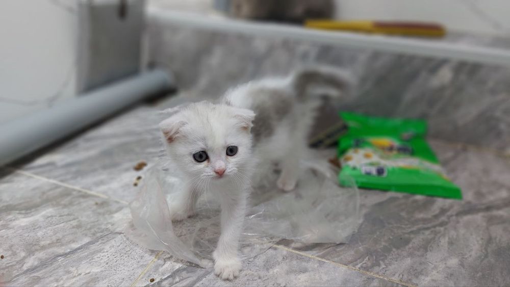 Продаётся  Сотилади