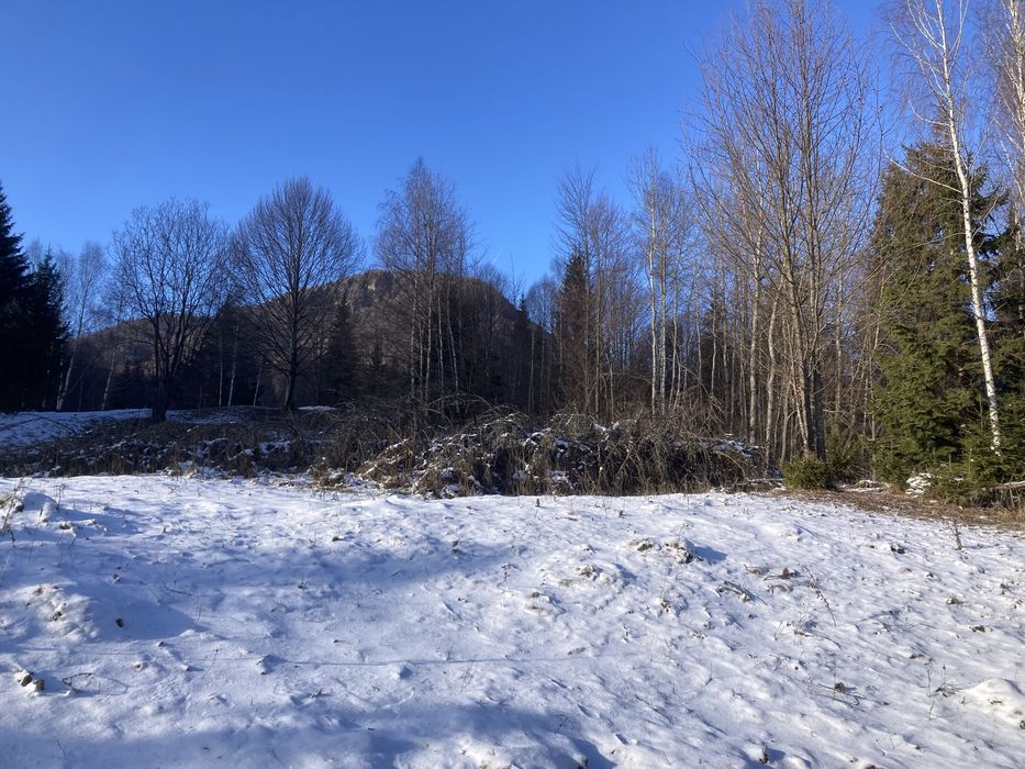 Vand 2 terenuri intravilane si proiect locuinta mobila