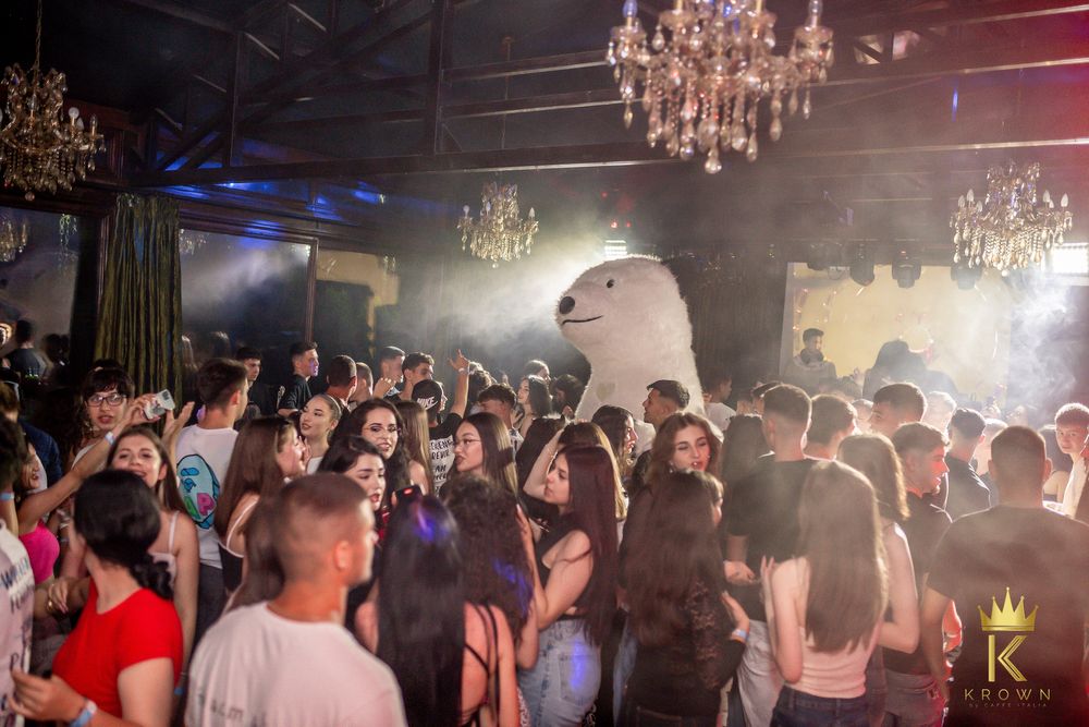 Surprize cu Ursul Gigant - Teddy