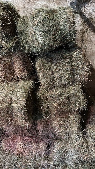 Fan și otavă de vânzare