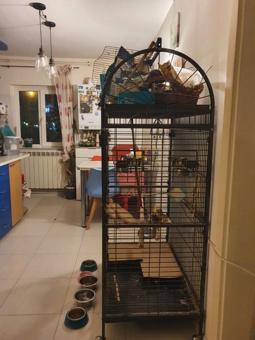 Colivie papagali Caesar/ Voliera