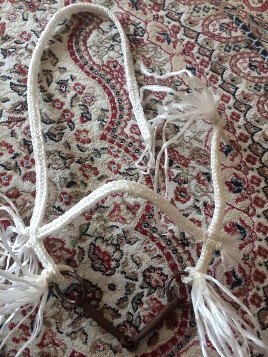 Ноқта Жүген Тұсамыс