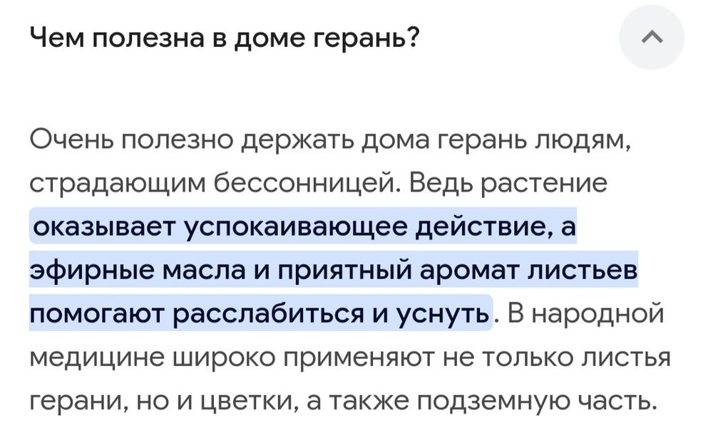 Мята, комнатные растения.