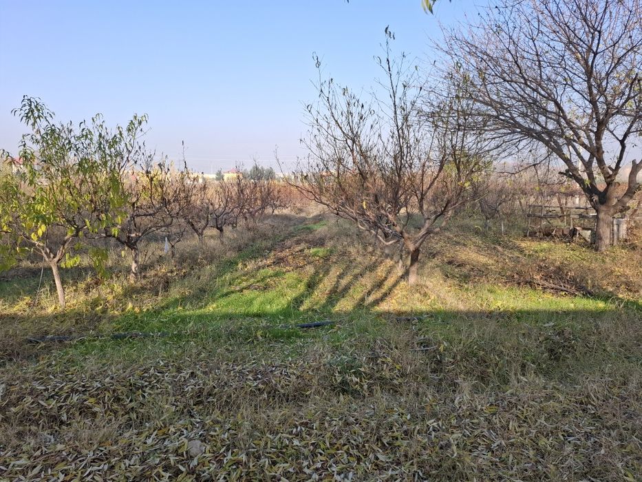 Бог ижарага берилади