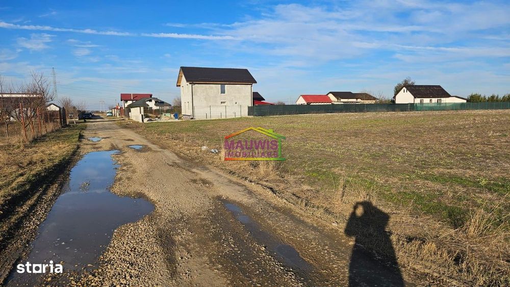 Vanzari Terenuri ILFOV - SUD VARTEJU