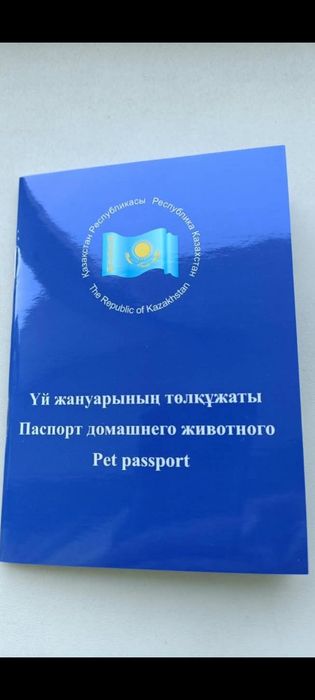Продам щенка Чихуахуа
