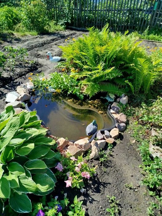 продам дачу с/о Борки