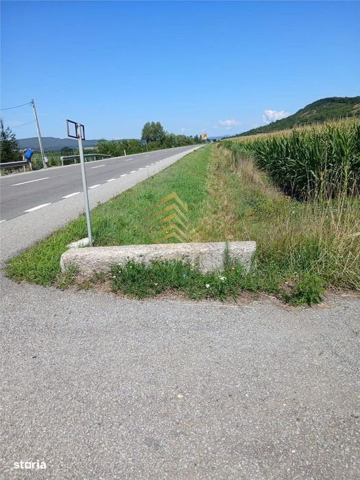 Teren De Vanzare Podirei | 10 Arii Intravilan | 48 Arii Extravilan