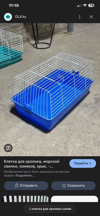 Вислоухий кролик с клеткой