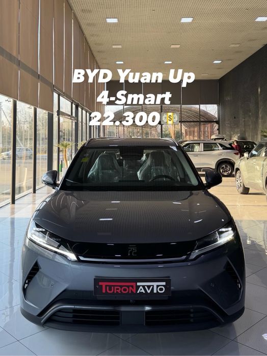 Byd Yuan Up 2025