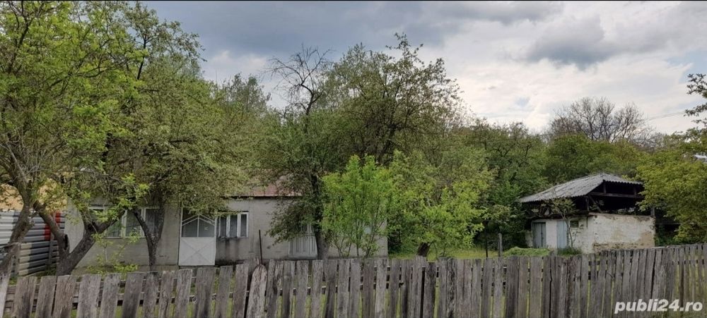 Casa 4 camere + Teren Intravilan 5574m ²