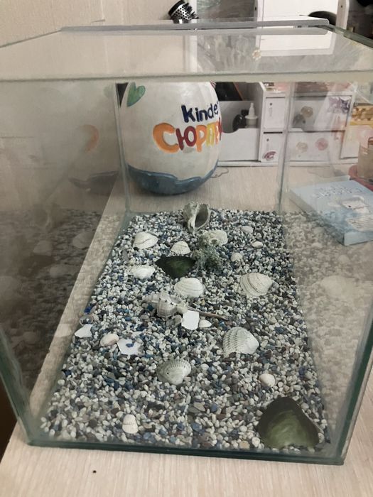 Продается аквариум с камнями и ракушками