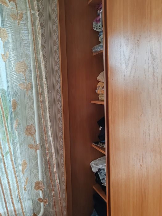 Родом огромный плательный шкаф