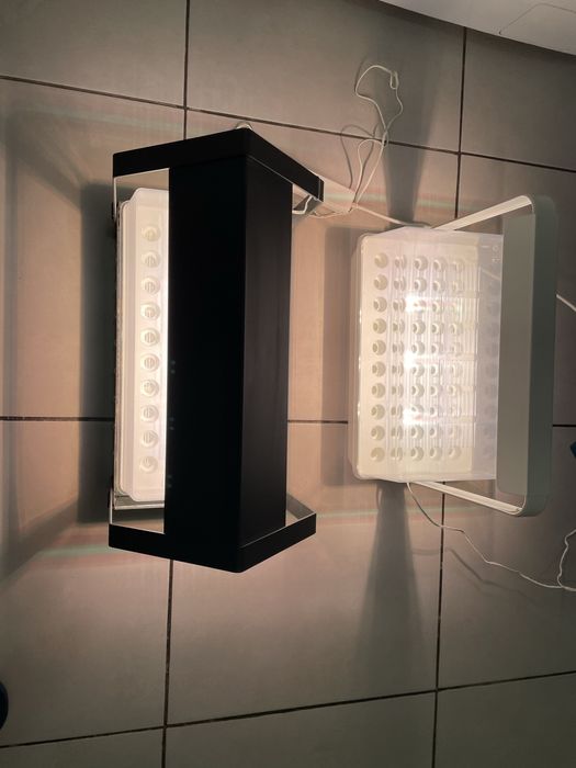 Sera Ikea 50 de rasaduri