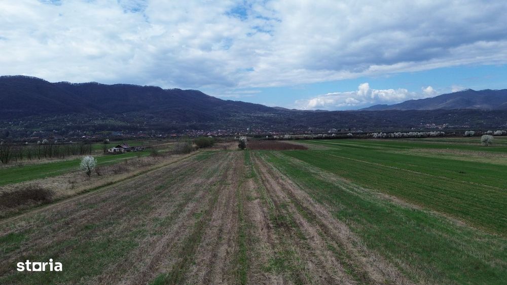 Teren / Jiblea Noua / Calimanesti /