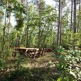 Рисуване с учител в горски парк