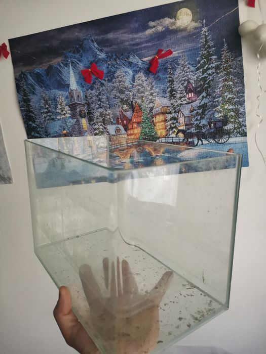 Vând acvariu 12 litri