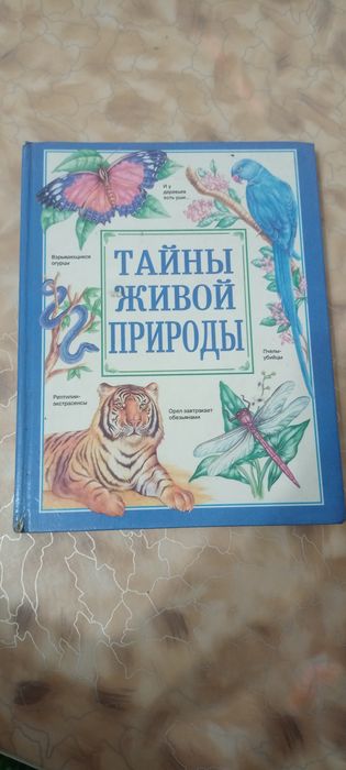 Книги с окошками