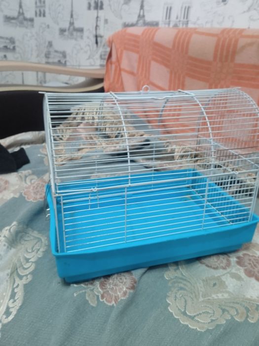 Срочно продам клетки