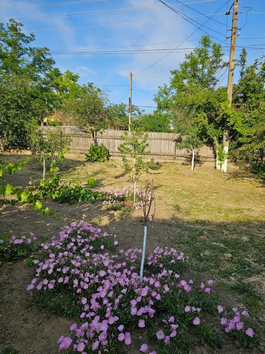 Casa dispunere centrala in OANCEA !