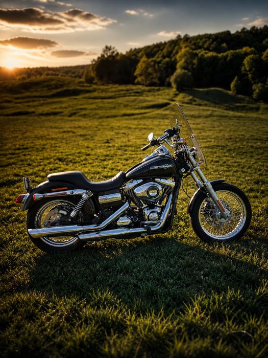 Harley Davidson Dyna 103