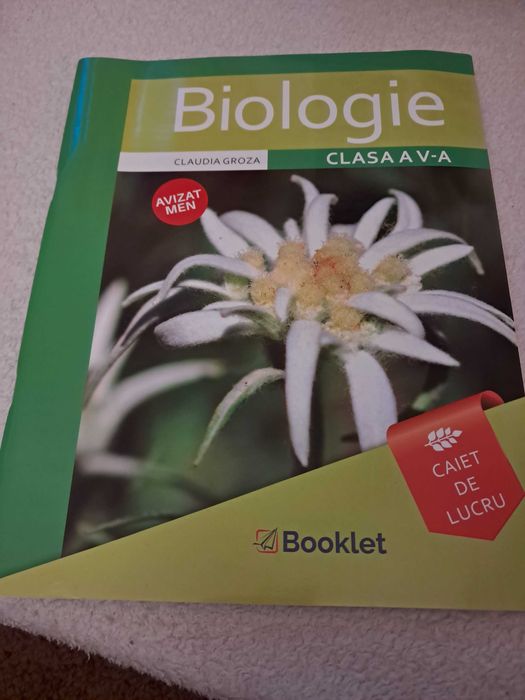 Manuale (5) și caiet fișe de lucru (1) clasa a V-a