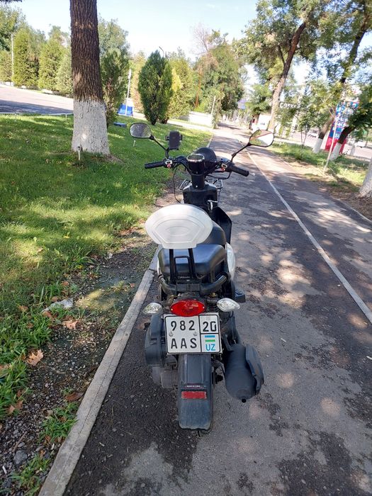 Moped Miniclove 49m3