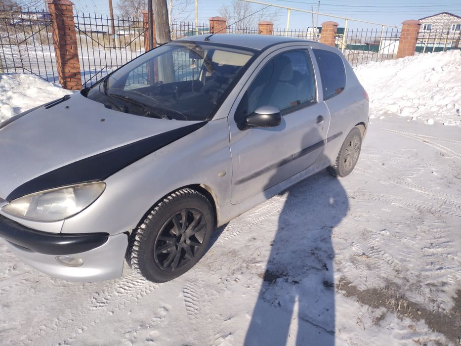 Продам шустрого айгырчика