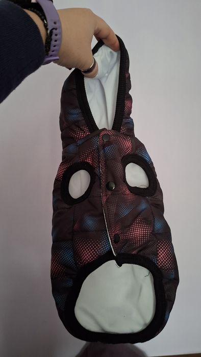 Яке за домашен любимец