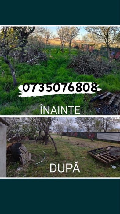 Tund iarba ieftin Bucuresti